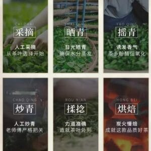 The Promise of Terroir: A Transparent Journey from Ancient Yunnan Tea Mountains to the European Teacup