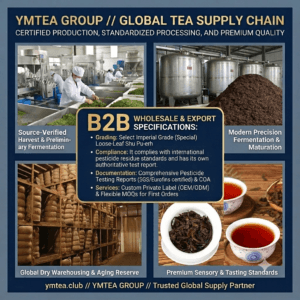 Why Are European Consumers Falling in Love with Oriental Leaf? The Health Secrets of Pu-erh and Black Tea