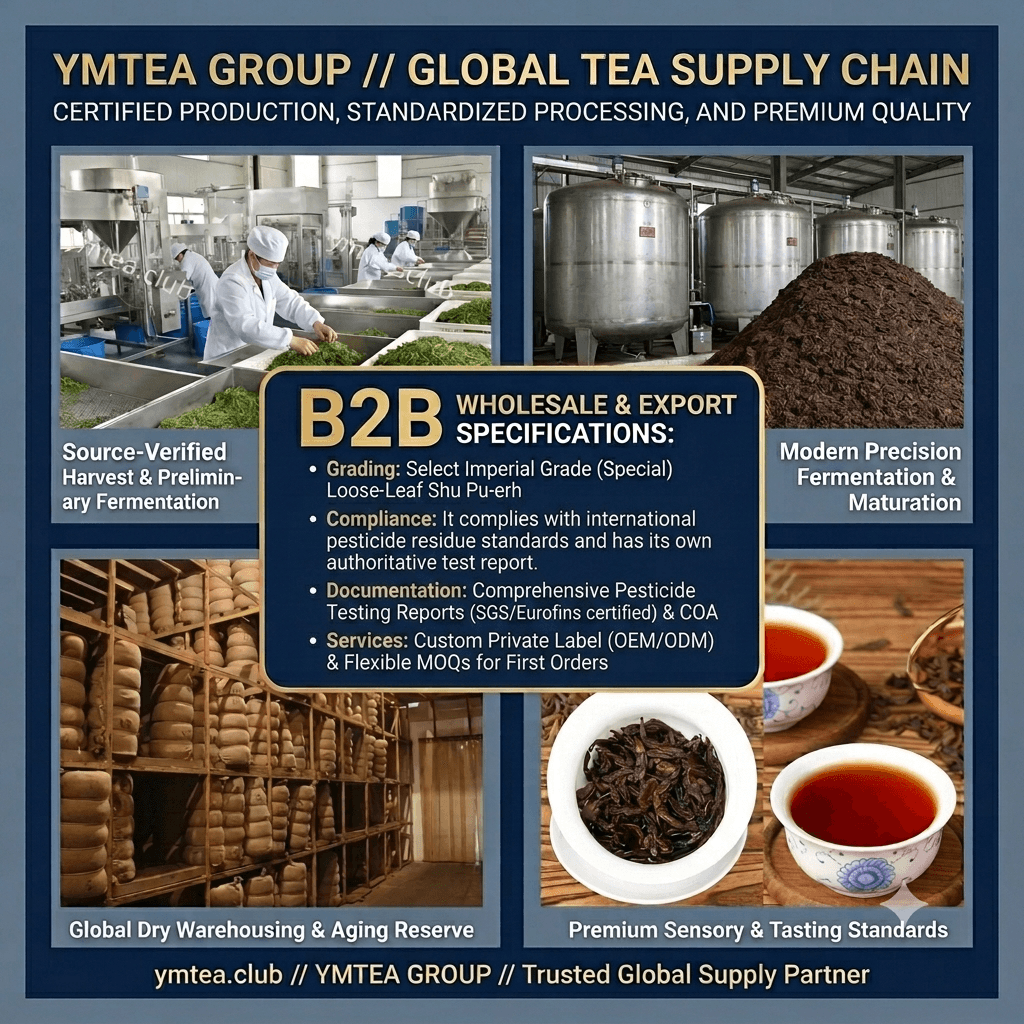 2008 Vintage Aged Ripened Pu-erh Tea (Loose Leaf & Pre-Measured) (1kg) 8 YM&TEA