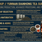 Savoring the East: How to Elegantly Enjoy Chinese Black Tea and Pu-erh in Europe