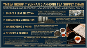 Savoring the East: How to Elegantly Enjoy Chinese Black Tea and Pu-erh in Europe