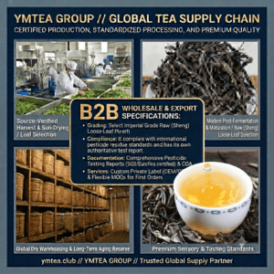 Piercing the European Late-Night Market: Defining the Next Generation of “Premium Sleep Tea” with Yunnan Loose Leaf Tea and Scientific Blending