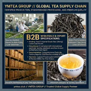 Piercing the European Late-Night Market: Defining the Next Generation of “Premium Sleep Tea” with Yunnan Loose Leaf Tea and Scientific Blending