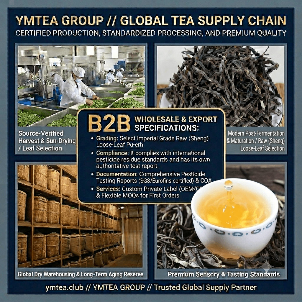 Piercing the European Late-Night Market: Defining the Next Generation of “Premium Sleep Tea” with Yunnan Loose Leaf Tea and Scientific Blending