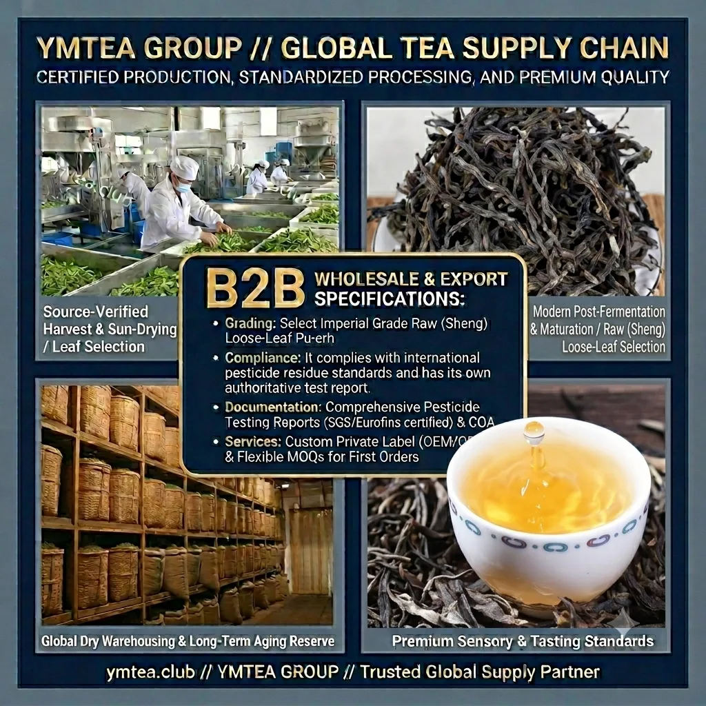 Piercing the European Late-Night Market: Defining the Next Generation of "Premium Sleep Tea" with Yunnan Loose Leaf Tea and Scientific Blending 1 Wholesalers, Producers, and Manufacturers of Premium Chinese Black Tea and Pu'er Tea
