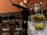 Farewell to Diet Soda: How Cold Brew Tea is Leading the New Healthy Beverage Revolution in Europe for Summer 2026
